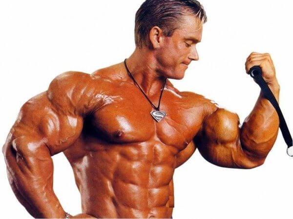 There are many great blogs on bodybuilding.