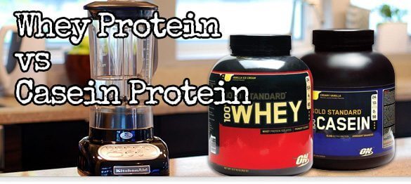 Whey protein and casein are both great supplements.