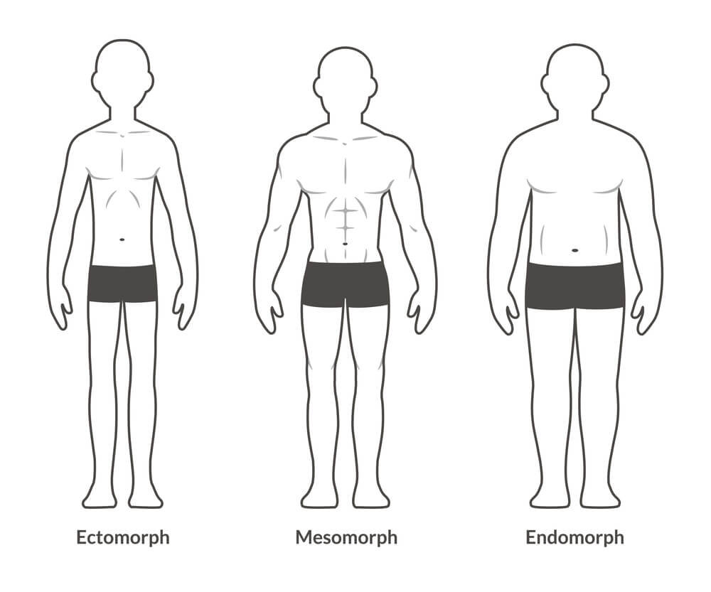 male ectomorph, mesomorph and endomorph