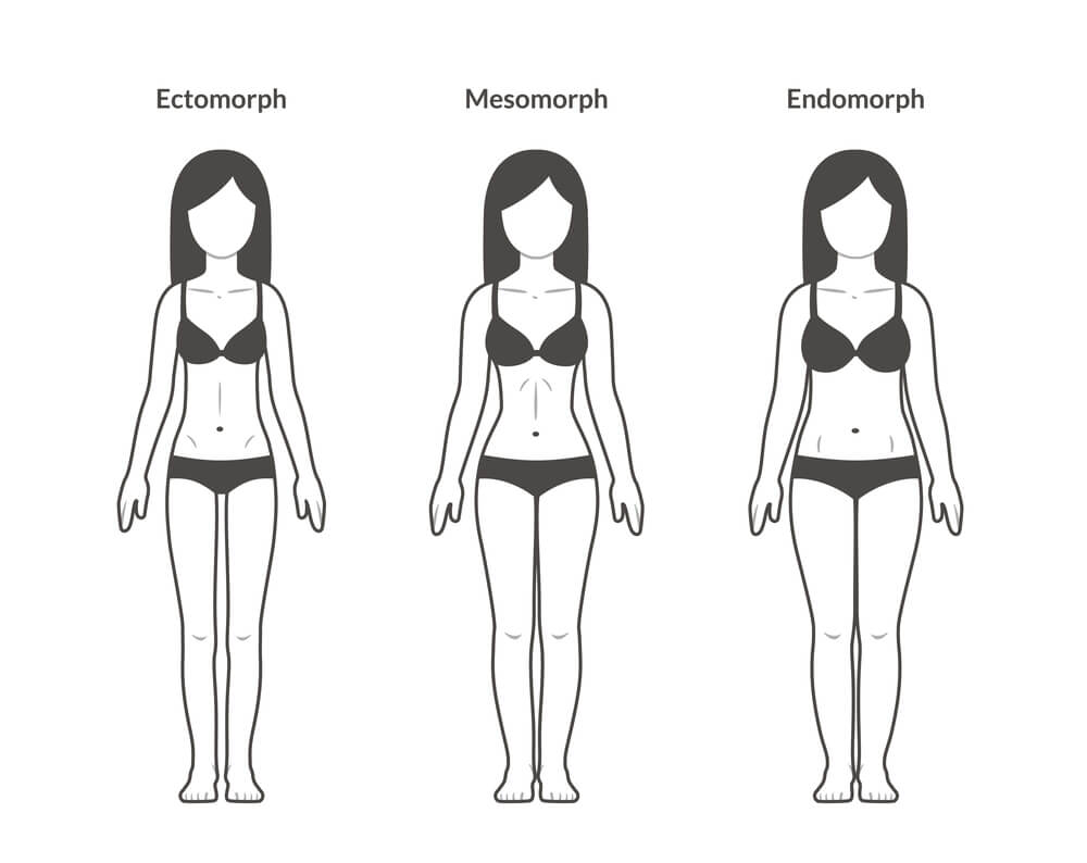 female ectomorph, mesomorph and endomorph